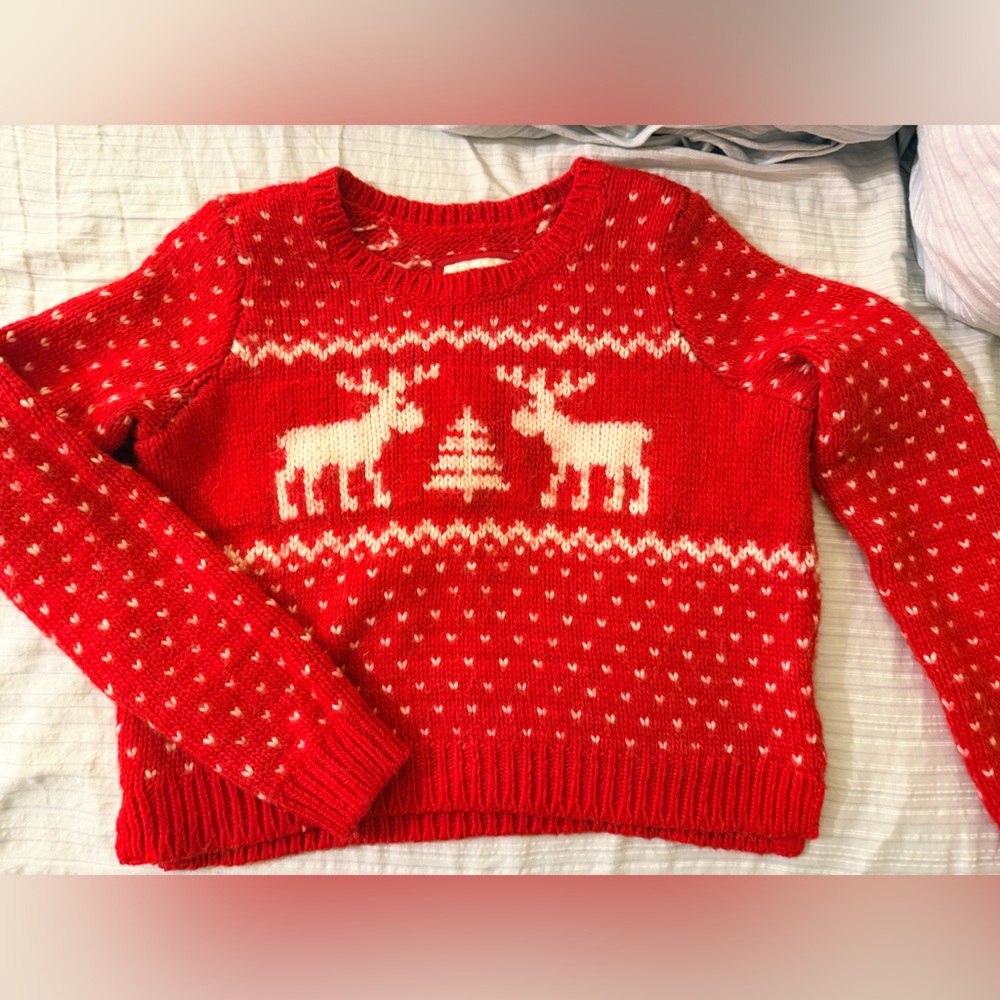 Abercrombie & Fitch Red Knit Sweater。